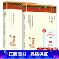 红楼梦(全套2册) [正版]赠考点 带注释导读红楼梦原著完整版无删减 四大名著之一 少年版初中生高中生小学生版青 曹雪芹