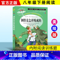 [正版]钢铁是怎样炼成的 中小学生彩图7-9-12岁青少年版儿童文学书籍初中原著三年级四年级课外书二三四五六年级青少年