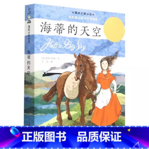 海蒂的天空 [正版]小巫婆求仙记国际大奖小说儿童文学三四五六年级课外书新蕾出版社小学生课外书7-8-9岁学生阅读书籍