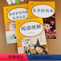 [正版]全套3册小学二年级上册语文同步训练 字词训练本+阅读理解+看拼音写词语生字注音 课堂同步练习册一课一练专项训练