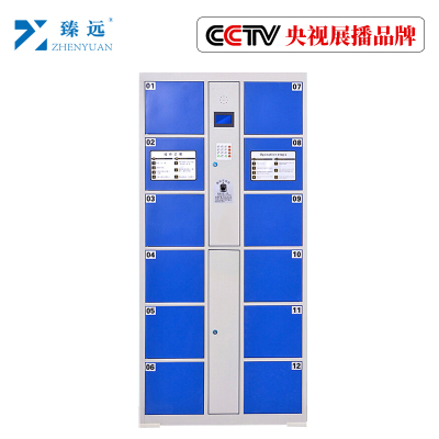 臻远工厂车间电子存包柜智能储物柜寄存柜刷卡条码自编投币型储物柜 12门指纹款