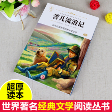 4册青少版文学经典 稻草人 故乡 小桔灯 苦儿流浪记