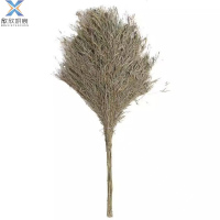 欣欣妍宸 竹扫把大扫把 YC-常规 个