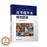 [醉染正版]关节镜手术解剖图谱精装彩图版陈世益李宏译临床实用关节镜手术技术学肩、肘、腕、髋、膝、踝医学书籍 山东科学技术