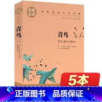 [正版]青鸟书 世界文学名著书籍全套经典原著外国 书高中生中学生课外必读小说原版 名家名译 四年级下册上册五年级