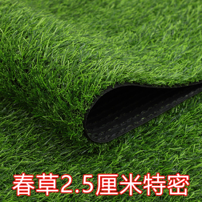 人工草坪草皮人造真坪地毯垫户外阳台装饰墙面塑料假绿色幼儿园人工皮春草2.5cm特密款-50平米