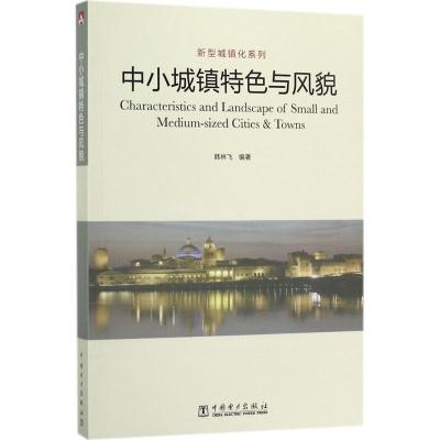 正版新书]中小城镇特色与风貌韩林飞9787519800680