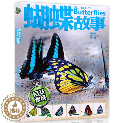 [醉染正版]暑假读一本好书 自然观察 蝴蝶故事 陈锡昌 景观6-7-8-9-10-12岁科普知识漫画卡通二三四五年级学生