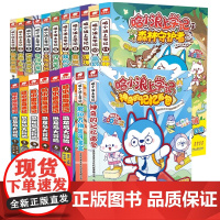 哈小浪上学记系列19册