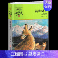 混血豺王 [正版]五只小狼沈石溪小学四年级五年级全集全套书浙江少年儿童出版社非注音版完整版动物小说大王品藏书系小学生课外
