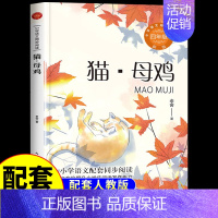 [单本]猫·母鸡 [正版]全套2册 白鹅丰子恺和猫母鸡老舍 四年级下册阅读课外书必读的书籍经典语文书目小学生丰子恺读本散
