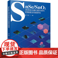 SnSe/SnO2异质结光催化复合材料的制备及性能研究