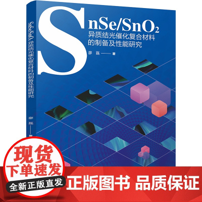 SnSe/SnO2异质结光催化复合材料的制备及性能研究