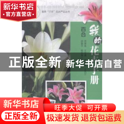 正版 我的花卉手册:百合 周厚高[等]编著 广东科技出版社 978753