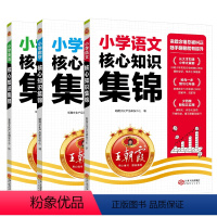 [3册]语文+数学+英语 小学通用 [正版]2024小学核心知识集锦语文数学英语基础大盘点大集结小学生一二三四五六年