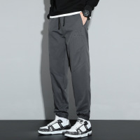 冬季厚款男士束脚裤新款运动大码宽松百搭哈伦青年休闲裤低价好货