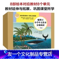 全套 [友一个正版]聪明豆小学中文绘本分级阅读(一年级上)