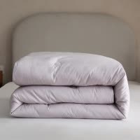 秋冬40S小提花全棉四季被芯双胎子母被纯棉冬季加厚保暖被子
