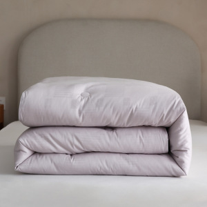 秋冬40S小提花全棉四季被芯双胎子母被纯棉冬季加厚保暖被子