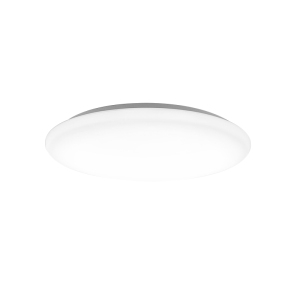 凯圣蓝 吸顶式 10W 21W