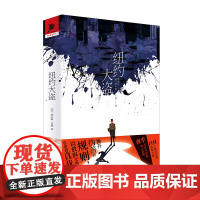 《纽约大盗》侦探推理小说