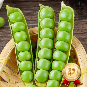 [西沛生鲜]云南新鲜豌豆 净重3斤