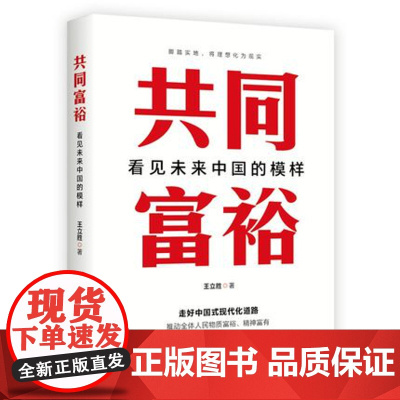 共同富裕 看见未来中国的模样 王立胜著