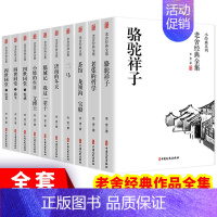 全套10册老舍经典作品 [正版]2024小升初满分作文小学生五六年级作文大全精选小学升初中作文素材书分类押题作文书写作指