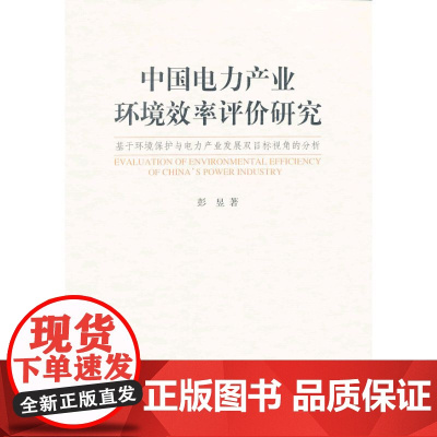 中国电力产业环境效率评价研究