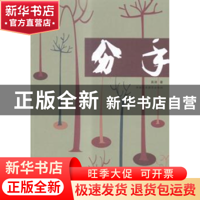 正版 分子 高淇著 新疆美术摄影出版社 9787546961798 书籍