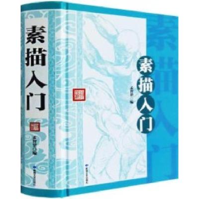 正版新书]素描入门孟智罡9787546809489