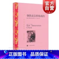 钢铁是怎样炼成的(译文名著精选).. [正版]钢铁是怎样炼成的 初中原著世界名著译本课外书 译文名著精选 外国文学小说