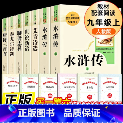 全套7册-九年级上册必读名著(学校推荐版全册) [正版]九年级下册全6册简爱儒林外史格列佛游记围城我是猫契诃夫短篇小说选