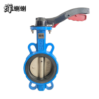 洋蝲蝲 蝶阀 DN100 单位:个