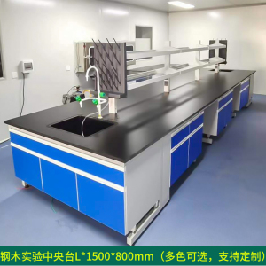 铭威盾全钢实验台钢木PP边台柜试验台化验室工作台实验室桌操作台定制(每米单价)