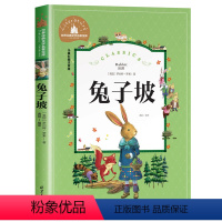 兔子坡 [正版]会飞的教室 儿童彩图注音版 世界经典文学名著宝库 6-7-8-9-10岁一二三年级课外阅读书籍童话故事书