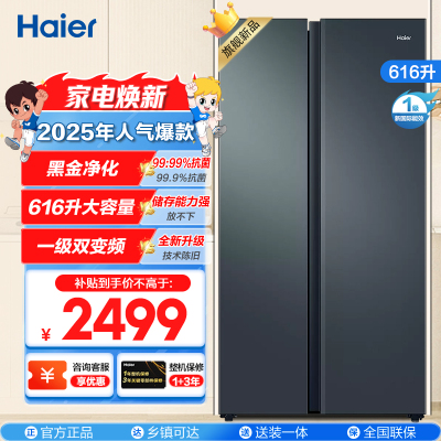 海尔(Haier)616升大对开门冰箱 一级变频 风冷无霜 黑金净化杀菌大容量冰箱BCD-616WGHSSEDC9