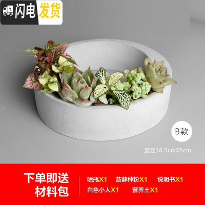 三维工匠水泥花盆欧式创意多肉透气中小花盆栽绿植物室内艺术装饰 B款送材料包1套 中等花盆容器