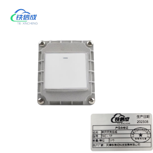 铁信成 单开开关总成 TXC - 1P 个