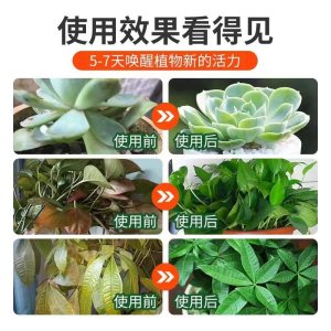 [补贴10%]免稀释营养液植物通用型肥料室内盆栽发财树绿萝养花喷洒发黄烂根