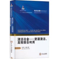 音像清洁冶金——资源清洁、高效综合利用翟玉春//申晓毅