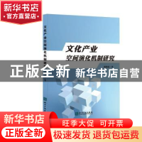 正版 文化产业空间演化机制研究:以江苏为例 胡慧源 知识产权出版
