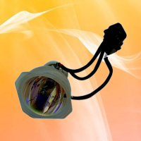 成越220W DC投影机灯泡适用于NEC WT600投影仪灯泡_VTf04