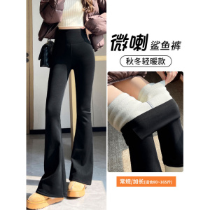 加绒微喇鲨鱼裤女外穿秋冬加厚羊羔绒保暖棉裤高腰喇叭瑜伽打底裤