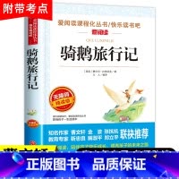 骑鹅旅行记单本 完整无删减 [正版]原著 尼尔斯骑鹅旅行记六年级下册课外书必读人教版下学期适合四五六年级小学生课外阅读书
