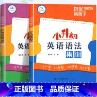 [英语|2本]英语语法+英语阅读理解 小学升初中 [正版]小升初英语语法集训三四五六年级小学英语语法专项训练题117个知