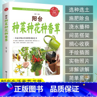 [正版]阳台种菜种花种香草园林树木学花艺花卉养殖蔬菜书籍蔬菜种植技术家庭养花草树木图鉴盆栽大全家庭养花和阳台种菜室内绿植