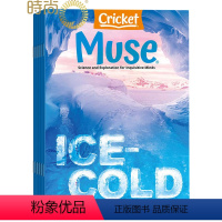 [正版]英文原版英文原版Muse缪斯2024年全年杂志订阅1年共9期 9-14岁少年阅读的科普类杂志 7月起订 Cri