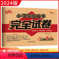 [正版]2024版小学毕业升学全真模拟试卷 语文 备考2024年小考毕业会考重点中学招生 小升初语文专项训练 68所名