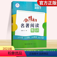 [正版]新版培优新帮手小升初名著阅读集训 小学六年级升初中名著阅读专项名校真题演练题型训练习册基础培优考点必考知识